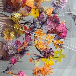 120 Colorful Pressed Flower Set